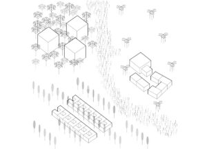 &bogdan - 0112fia-t-isometrywithouttext-1.jpg
